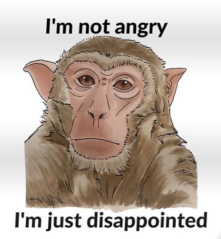 disappointed monkey